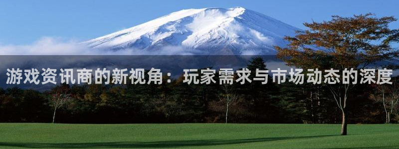 极悦娱乐登录：游戏资讯商的新视角：玩家需求与市场动态的深度
