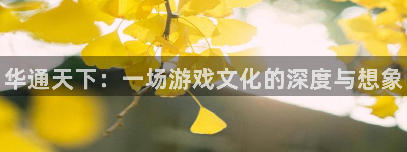 极悦娱乐游戏：华通天下：一场游戏文化的深度与想象