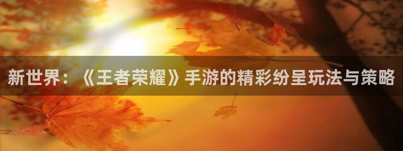 极悦娱乐在线登录：新世界：《王者荣耀》手游的精彩纷呈玩法与策