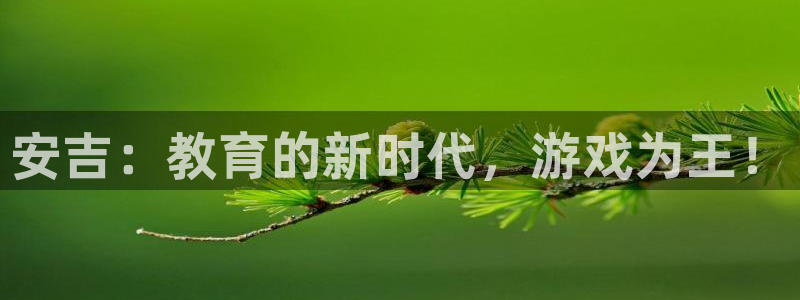 极悦娱乐官网登录：安吉：教育的新时代，游戏为王！