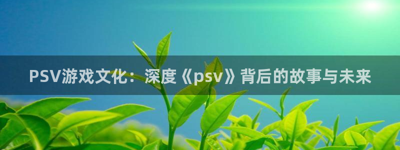 极悦娱乐平台官方网站：PSV游戏文化：深度《psv》背后的故