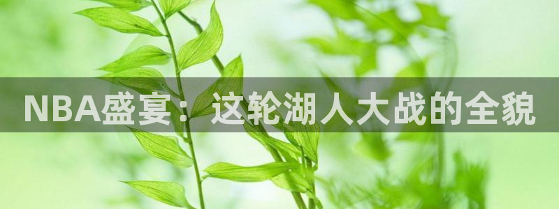 五星体育频道节目单