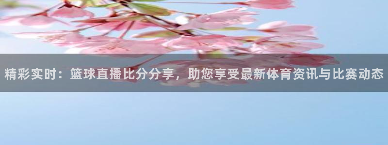 f1直播五星体育：精彩实时：篮球直播比分分享，助您享受最新体育资讯与比赛动态