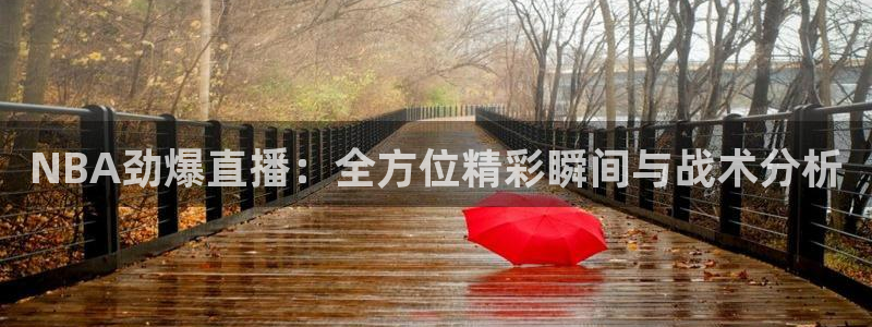 手机如何看五星体育频道：NBA劲爆直播：全方位精彩瞬间与战术分析
